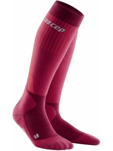 cep Socke in Rot