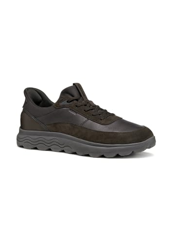 Geox Sneakers Low U Spherica Plus A in braun