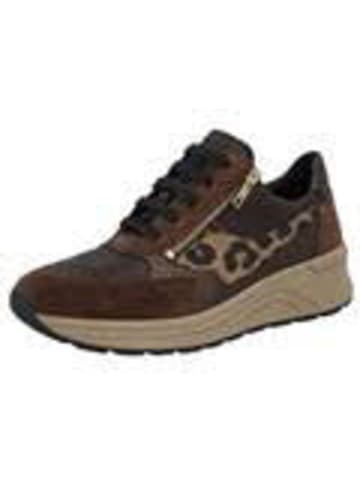 Solidus Damen- Schnürschuhe Holly  Weite H in Braun