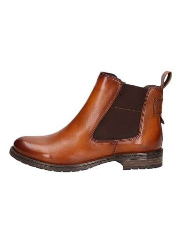 TT. BAGATT Stiefelette Stiefelette in braun