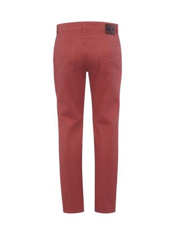 Andrew James Hose in bordeaux