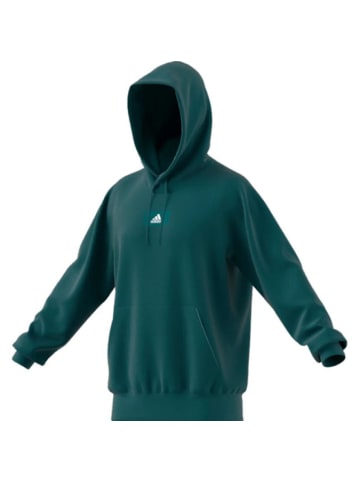adidas Hoodie/Kapuzensweatshirt M FV HD in Grün