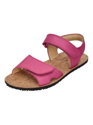 KOEL Sandalen ASHLEY  in rosa