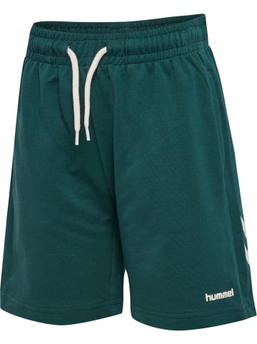 Hummel Verstellbare Taille Kurze Hose Hmljr Loose Lebensstil Kinder in JUNE BUG