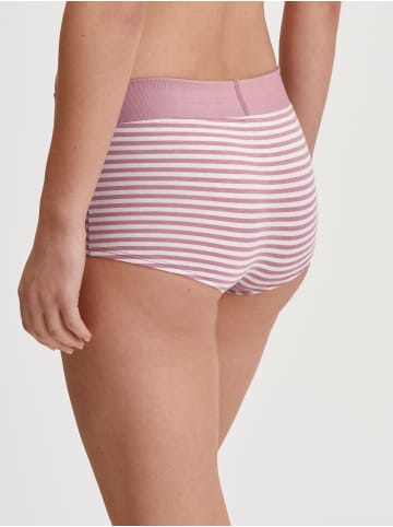 Calida Panty in rose print