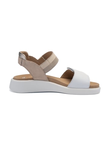 ara Sandalen in Beige