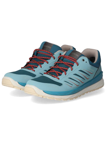 LOWA Trailrunningschuhe AXOS GTX in Blau