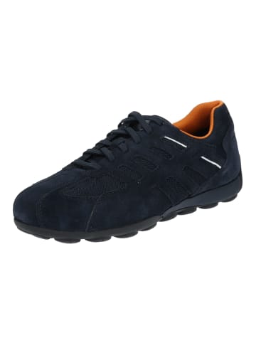 Geox Sneaker in Navy