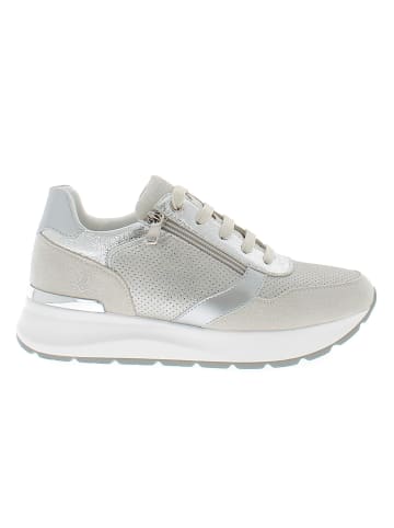 Armata di Mare Sneaker AMDS61H10-LTGREY-SILVER Grau