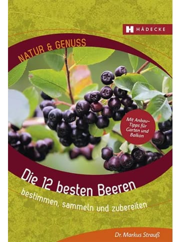 Hädecke Die 12 besten Beeren | bestimmen, sammeln und zubereiten