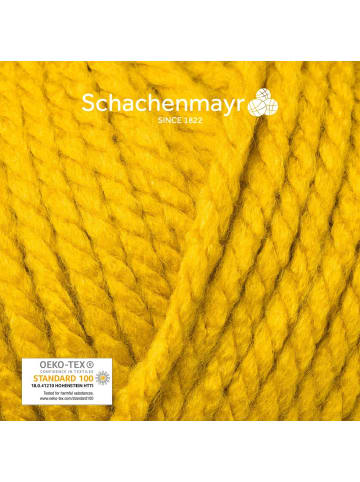 Schachenmayr since 1822 Handstrickgarne Bravo Big, 200g in Gold