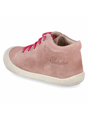 Naturino Schnürschuhe COCOON in Rosa