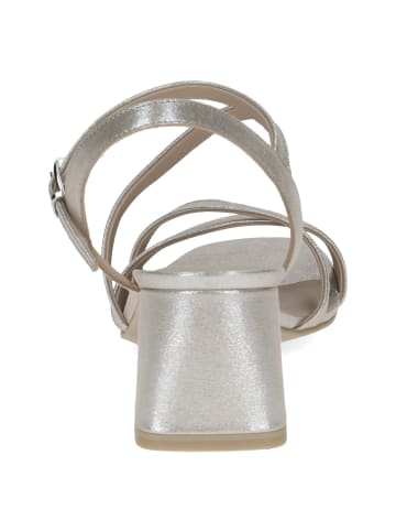Caprice Sandalen in taupe sue.met.