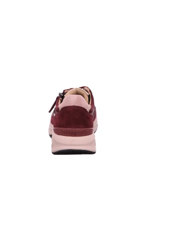 Gabor Sneaker Low in bordo
