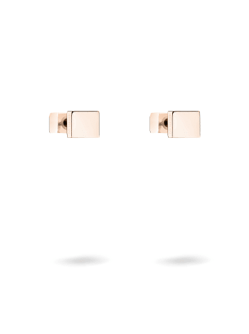 LIEBESKIND BERLIN Ohrringe Plates in roségold
