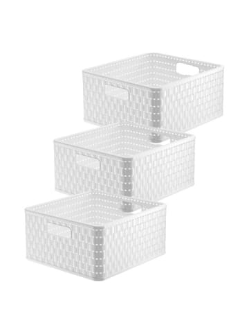 Rotho Country 3er-Set Aufbewahrungsbox 14l in Rattan-Optik in Weiß