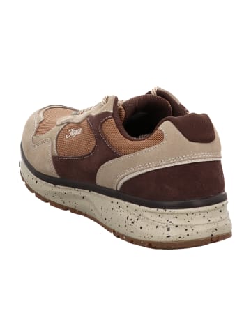 Joya Sportliche Schnürschuhe in Braun