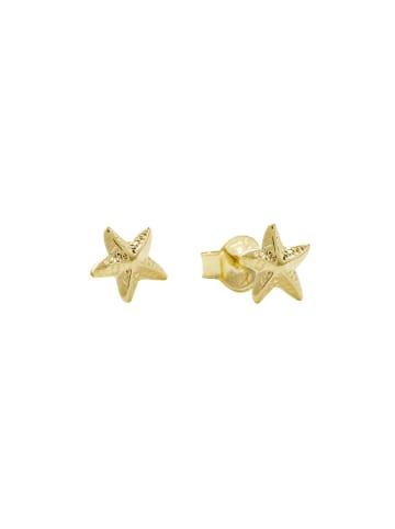 Amor Ohrstecker Gold 375/9 ct in Gold