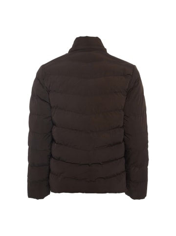 Colina Herren Steppjacke in Espresso
