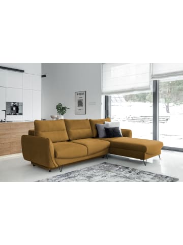 MF Design Sonic Recamiere Rechts in Amber -  (L) 276 x (B) 276 x (H) 100 cm