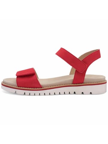 ara Sandalette in rot