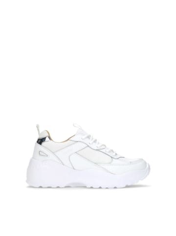 Kazar Sneaker Low  AVERY in Weiß