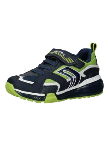 Geox Sneaker in Navy/Lime