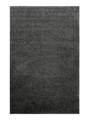 Homie Living Hochflorteppich Gino in anthrazit grau