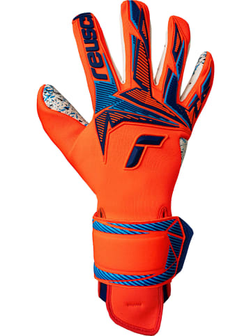 Reusch Torwarthandschuhe Attrakt Freegel Fusion in 2290 shocking orange/blue