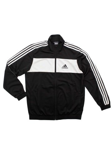 adidas Trainingsanzug Track Suit Entry Knit OH in Schwarz