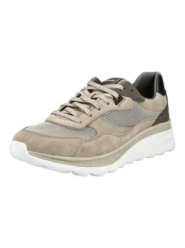 Geox Sneaker Sand