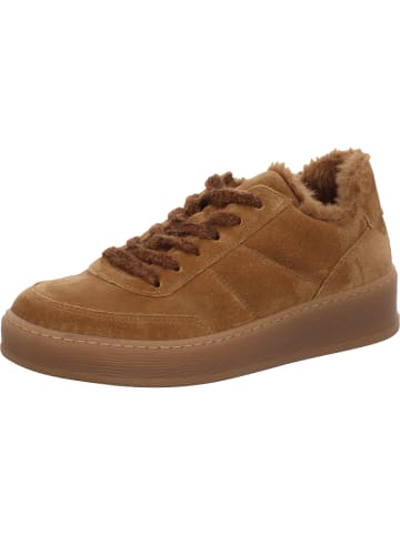 Gabor Sneaker Low in braun