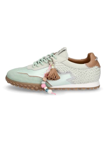 GIO+ Sneaker in Grün