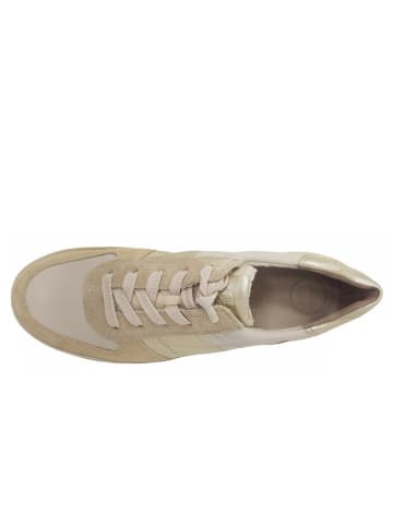 Paul Green Sneaker  in Beige