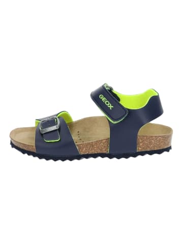 Geox Sandalen in Navy/Lime