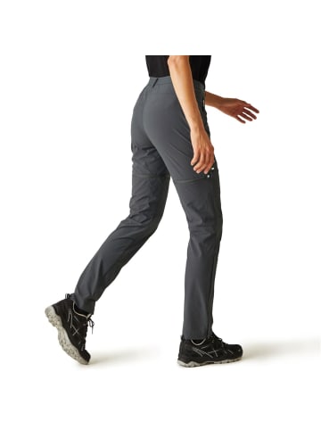 Regatta Mountain Zip Off Pant / Wanderhose Kurzgröße in Grau