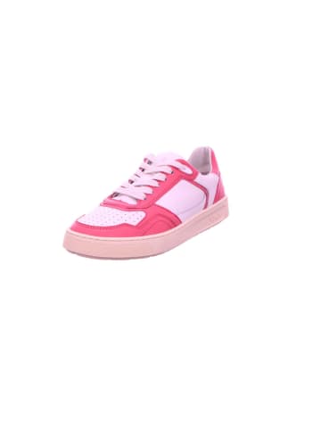Sioux Sneaker in pink