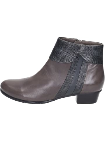 Piazza Klassische Stiefeletten in muddy/grey