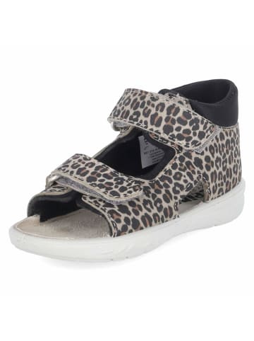 PEPINO Sandalen TITU in grau