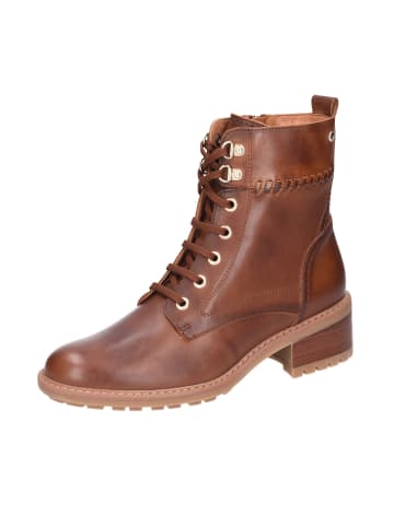 Pikolinos Schnürschuh in braun