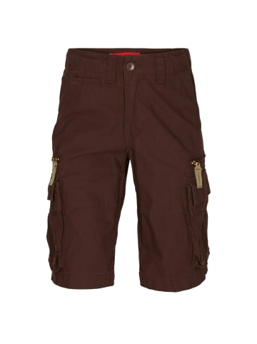 Molecule Cargoshorts BAGGY in Brown