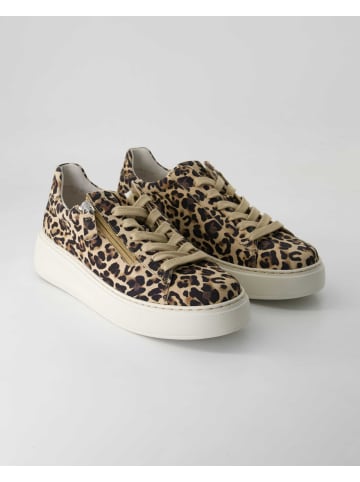 Gabor Comfort Sneaker low in Braun
