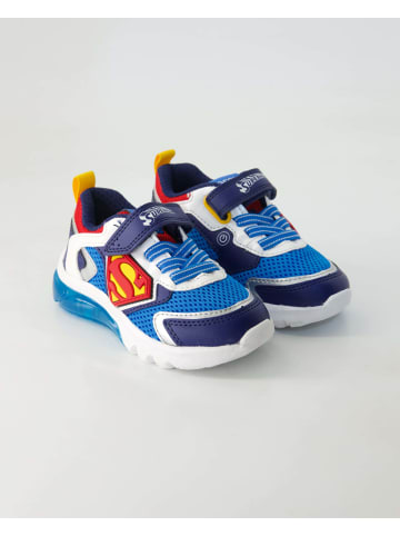 Geox Klettschuhe in Blau