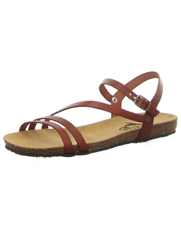 Plakton Riemchensandalette in braun