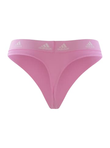 adidas Tanga Realasting Cotton in sortiert 60