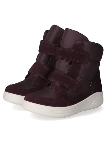 Ecco Winterstiefeletten URBAN SNOWBOARDER in Violett