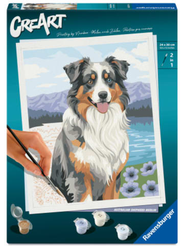 Ravensburger Verlag GmbH Spiel - Ravensburger CreArt 12023114 - Australian Shepherd Merlin - Malen nach