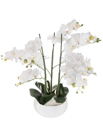 Atmosphera Créateur d'intérieur Kunstblume Orchidee in weiß