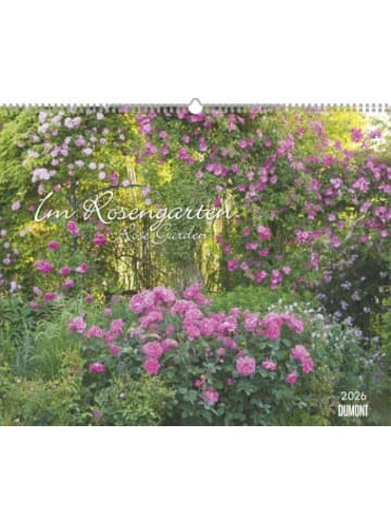 DuMont Kalenderverlag Kalender - DUMONT - Im Rosengarten 2026 - Gartenkalender - Querformat 52 x 43 c