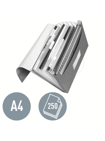 Leitz Projektmappe Wow A4 PP 6 Fächer rot